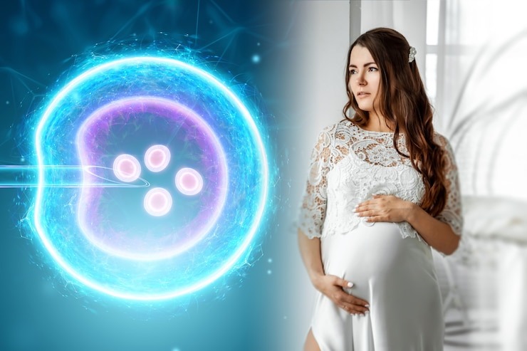 IUI Vs IVF இடையேயான முக்கிய வேறுபாடுகள் என்ன - கருவுறுதல் நிபுணர் விளக்கம்!