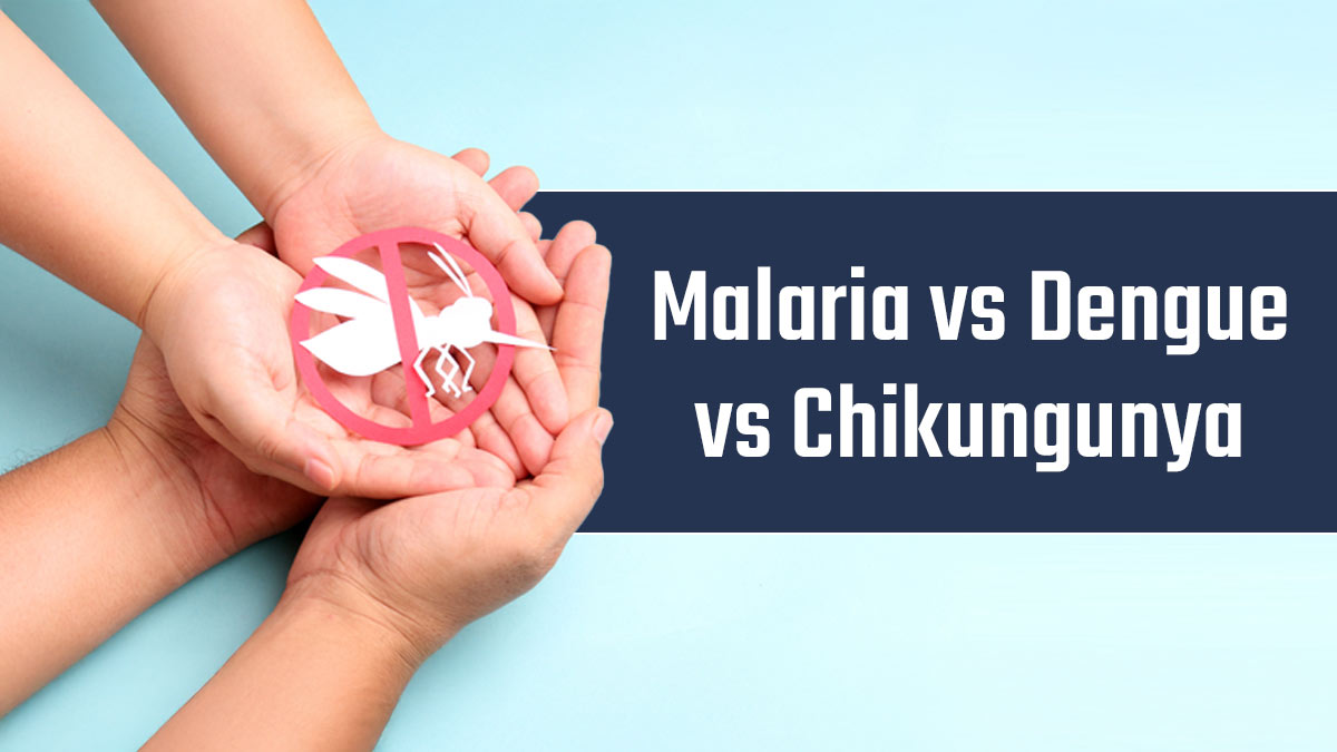 Malaria, Dengue, And Chikungunya: Expert Explains The Differences And How To Prevent Them