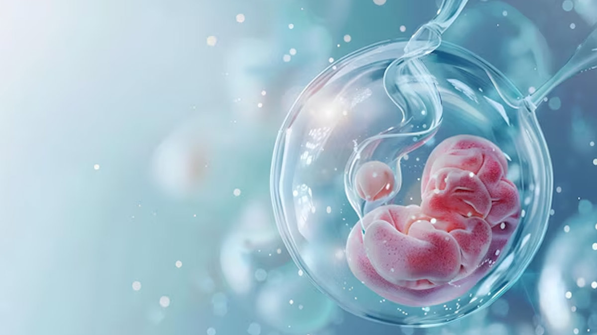 Miscarriage And IVF: Timing And Considerations For Your Next Steps