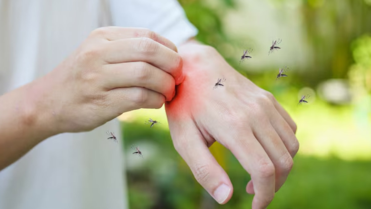 Hydration Heroes For Mosquito Season: Drinks Beyond Water To Boost Well-Being