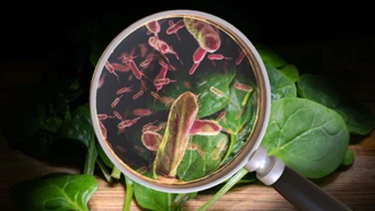 Salmonella Gastroenteritis In Children: Know The Causes, Symptoms, Treatment, And Prevention Methods