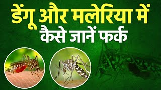 डेंगू और मलेरिया में कैसे जानें फर्क I OnlyMyHealth